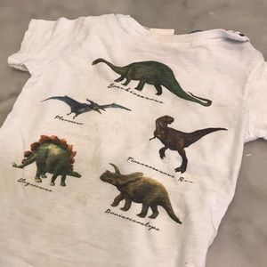 Zara dinosaur t-shirt